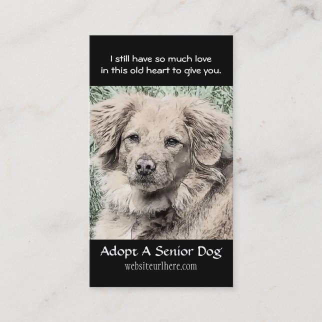 Adopt a Senior Dog Animal Rescue Business Card (Front)