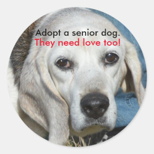 Adopt a senior dog. They need love too! Classic Round Sticker