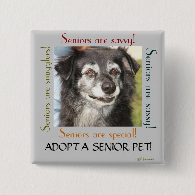 Adopt a Senior Pet 15 Cm Square Badge (Front)