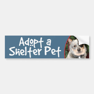 Adopt a Shelter Pet Australian Cattle Dog Bumper Sticker