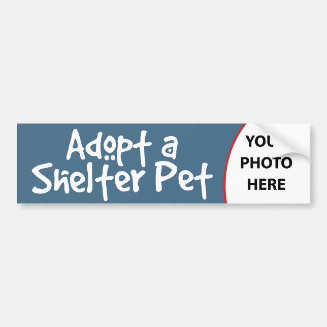 Adopt a Shelter Pet Bumper Sticker (Front)