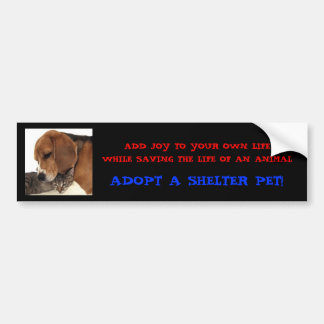 Adopt A Shelter Pet! Bumper Sticker