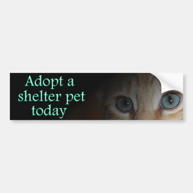 Adopt a shelter pet bumper sticker (Front)