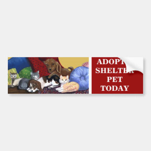 ADOPT A SHELTER PET TODAY Bumpersticker Bumper Sticker