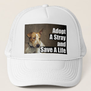 Adopt A Stray Hat