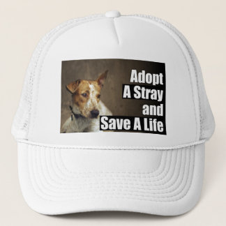 Adopt A Stray Hat
