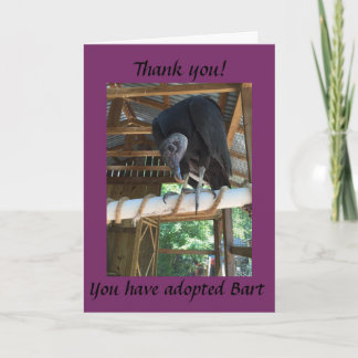 Adopt Bart the Black Vulture Thank You Card