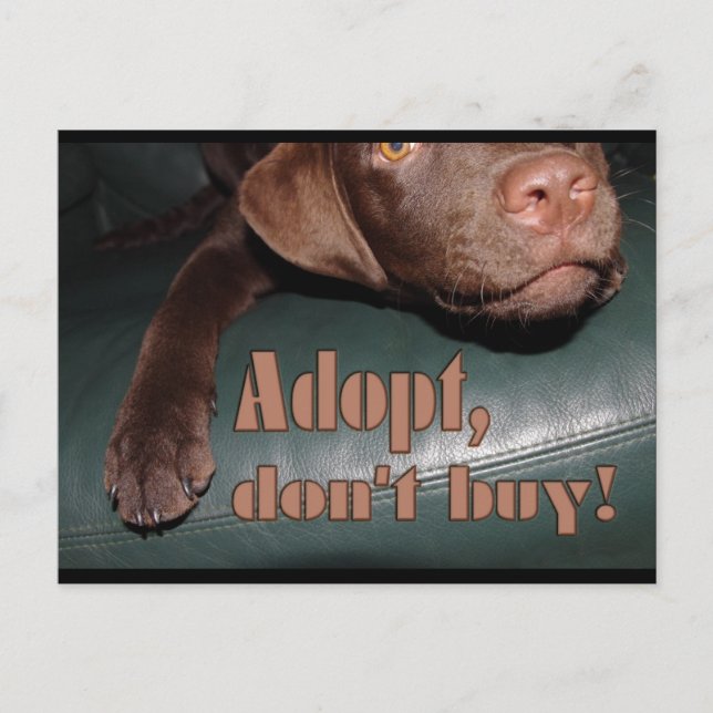 Adopt, don't buy! - fuxart postcard (Front)
