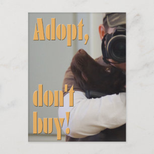 Adopt, don't buy! - fuxart postcard