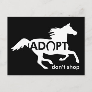 Adopt Horses Postcard