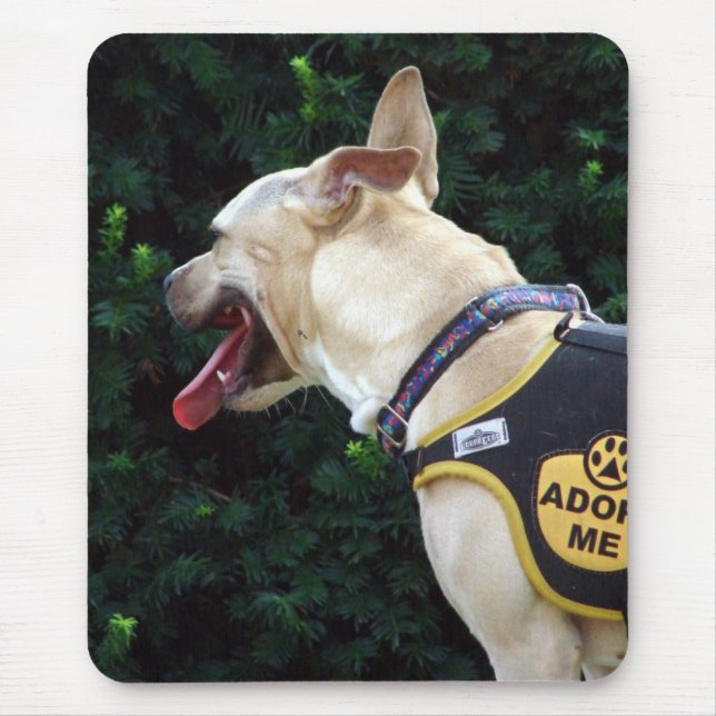 Adopt Me Mouse Pad (Front)