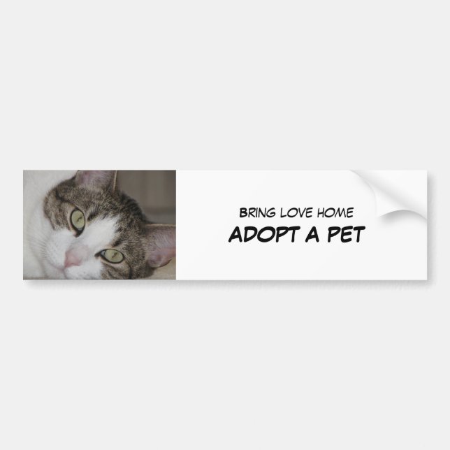 Adopt Pet Bumper Sticker II (Front)
