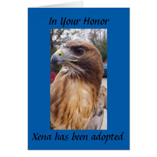 Adopt Xena the Red-Tailed Hawk- In Your Honour