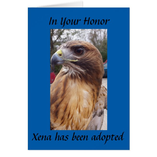 Adopt Xena the Red-Tailed Hawk- In Your Honour (Front)