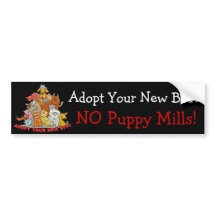 Adopt Your New BFF! NO Puppy Mills!