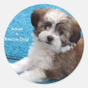 AdoptaRescue Dog! Classic Round Sticker