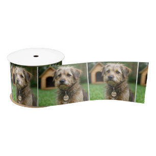 Adopted Scruffy Dog With Doghouse Satin Ribbon