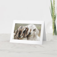 adoption, adopting, adopted, photography,
