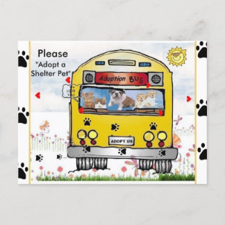 Adoption Bus for Cat's & Dog's Postcard