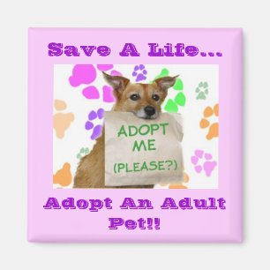 Adoptme, Save A Life..., Adopt An Adult Pet!! Magnet