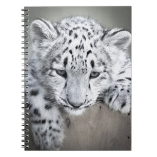Adorabe Snow Leopard Cub Notebook