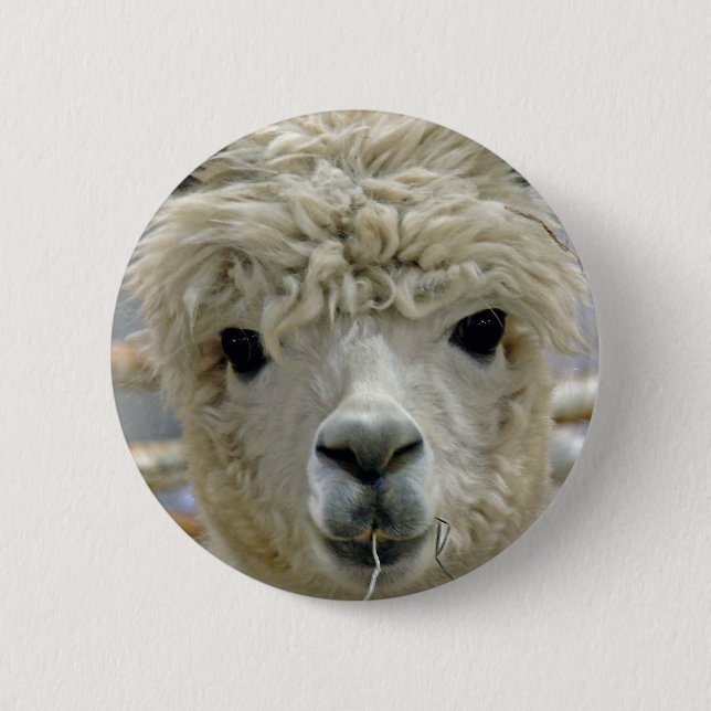 Adorable Alpaca 6 Cm Round Badge (Front)