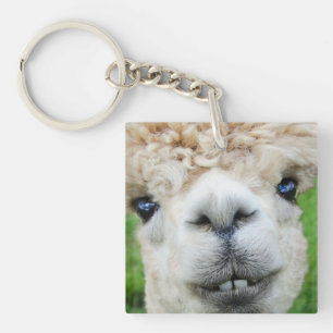 Adorable Alpaca Photo Acrylic Key Ring