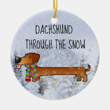 Adorable and Funny Dachshund Through The Snow