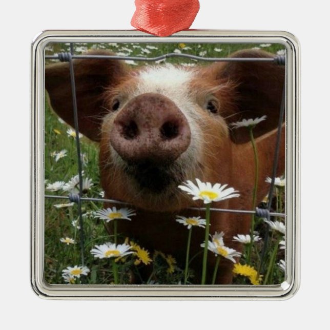 *ADORABLE AND SWEET PIGLET FOR CHRISTMAS* METAL ORNAMENT (Front)