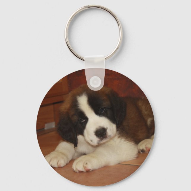 Adorable and Sweet St. Bernard Puppy Key Ring (Front)