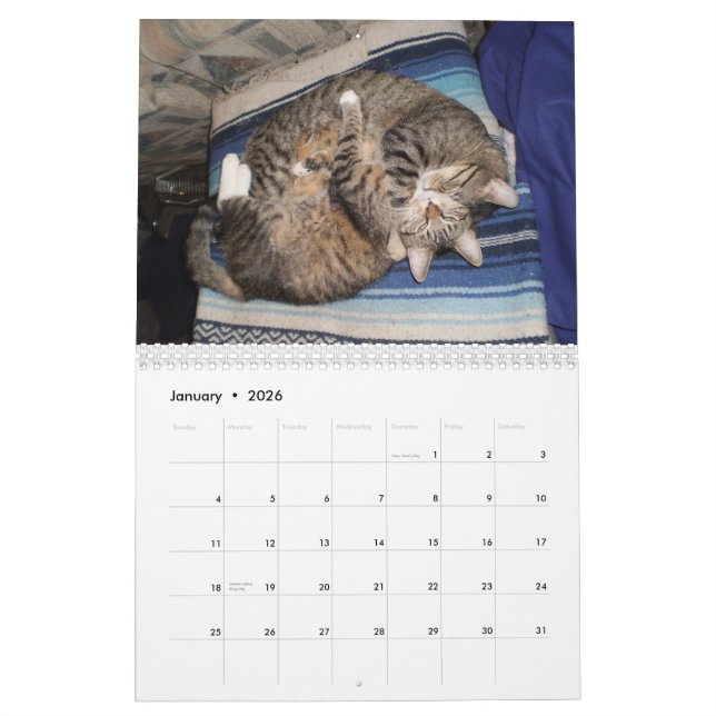 Adorable Animal Calendar (Jan 2026)