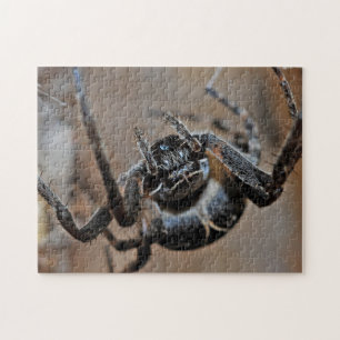 Adorable Arachnid Spider Macro Photo Puzzle