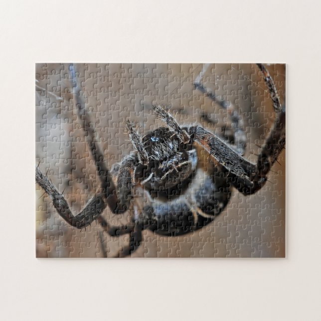 Adorable Arachnid Spider Macro Photo Puzzle (Horizontal)