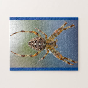 Adorable Arachnid Spider Photo Puzzle