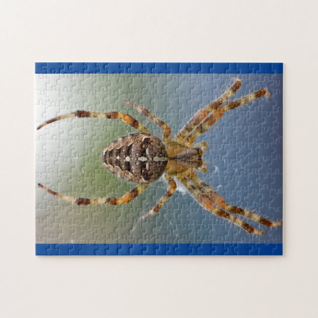 Adorable Arachnid Spider Photo Puzzle (Horizontal)