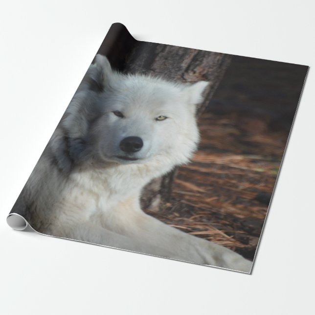 Adorable Arctic Wolf Wrapping Paper (Unrolled)