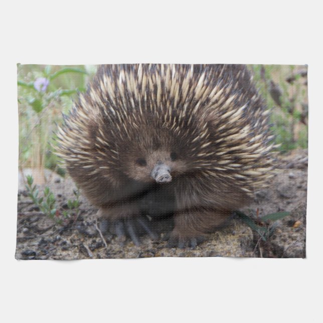 Adorable Australian Echidna Tea Towel (Horizontal)