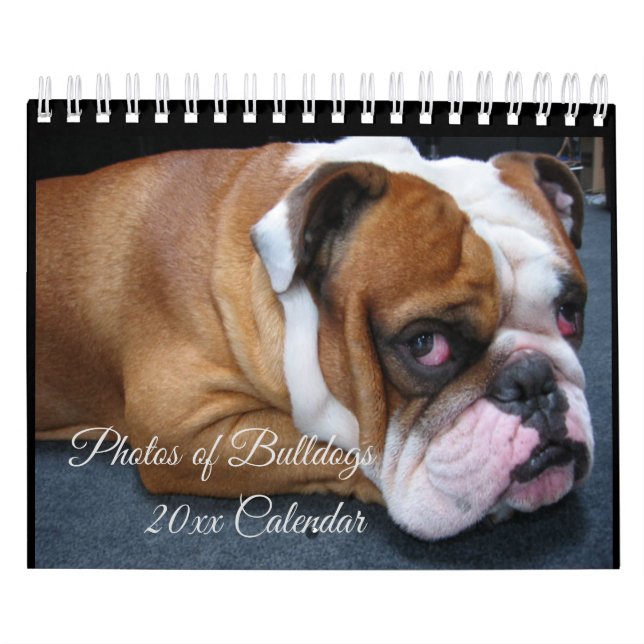 Adorable Baby & Adult English Bulldogs Calendar (Cover)