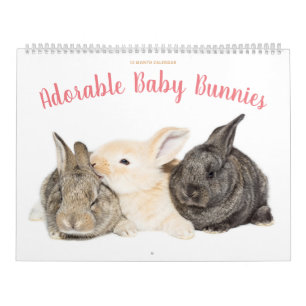 Adorable Baby Bunnies Calendar