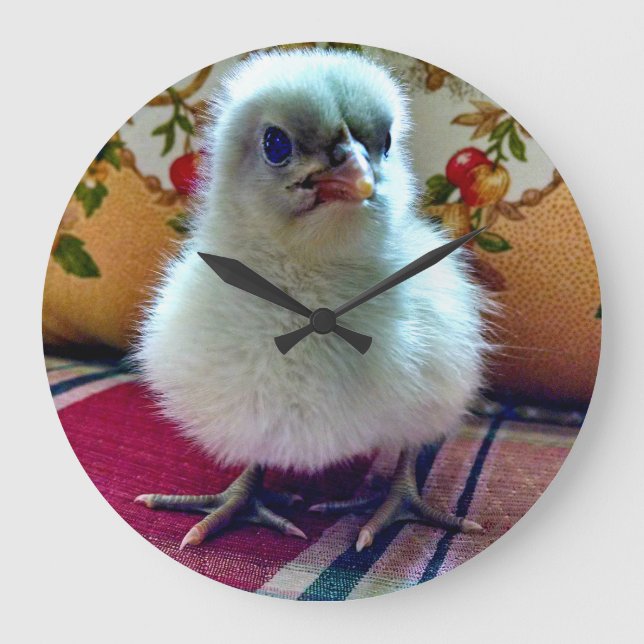 Adorable Baby Chick Wall Clock (Front)