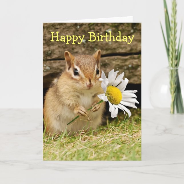 Adorable Baby Chipmunk with Daisy - Happy Birthday Card (Front)