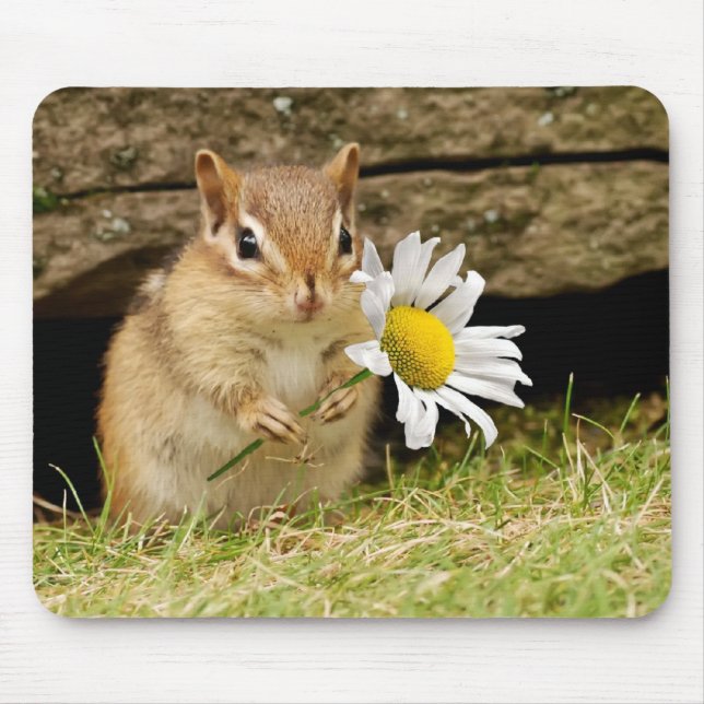 Adorable Baby Chipmunk with Daisy Mouse Pad (Front)