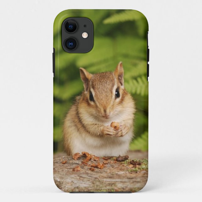 Adorable Baby Chipmunk with Snack Case-Mate iPhone Case (Back)