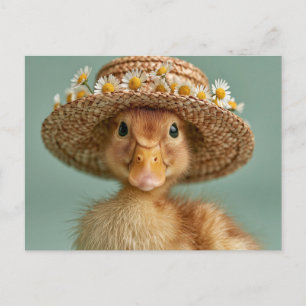 Adorable Baby Duck Wearing a Straw Hat  Postcard