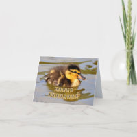 Adorable Baby Duckling in the Pond Happy Birthday