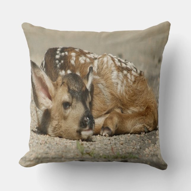 Adorable Baby Fawn Cushion (Front)