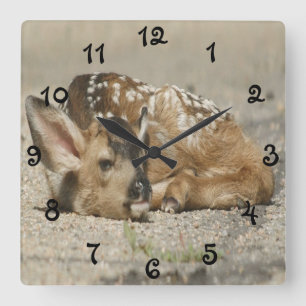 Adorable Baby Fawn Square Wall Clock