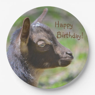 Adorable Baby Goat Birthday Paper Plate