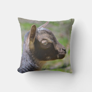 Adorable Baby Goat Cushion