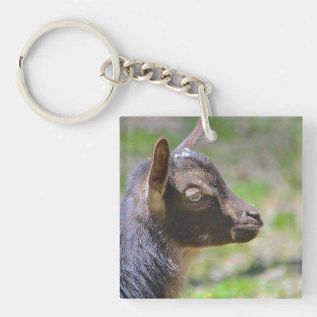Adorable Baby Goat Key Ring (Front)